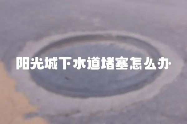 陽光城下水道堵塞怎么辦