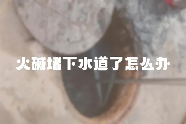 火碱堵下水道了怎么办