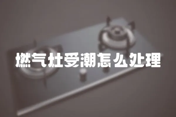 燃?xì)庠钍艹痹趺刺幚?></a></div>
                    <div   id=