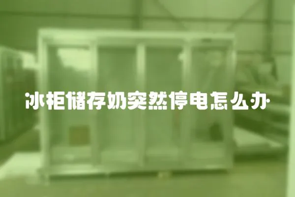 冰柜儲存奶突然停電怎么辦