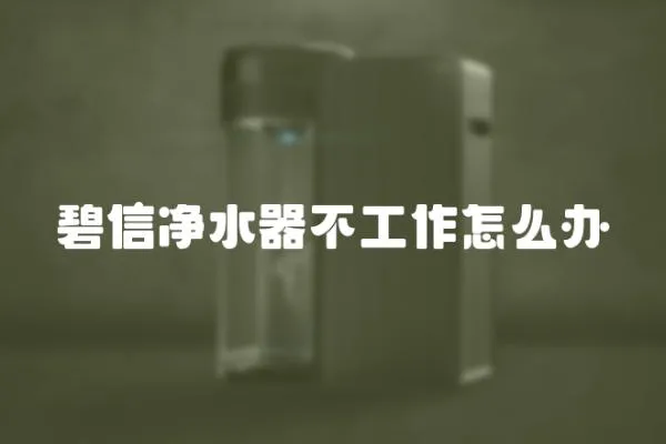 碧信凈水器不工作怎么辦
