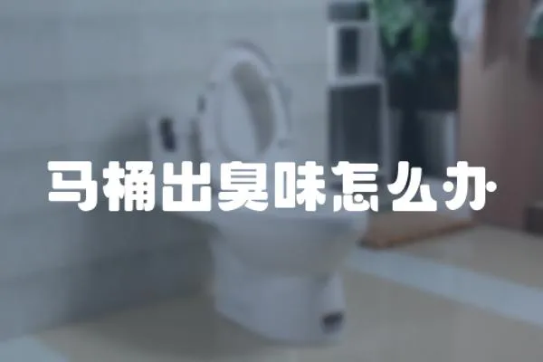 馬桶出臭味怎么辦