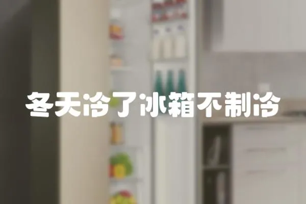 冬天冷了冰箱不制冷