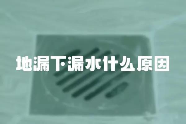 地漏下漏水什么原因