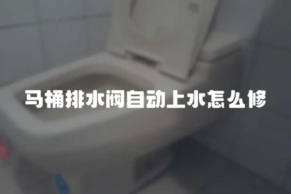 馬桶排水閥自動(dòng)上水怎么修
