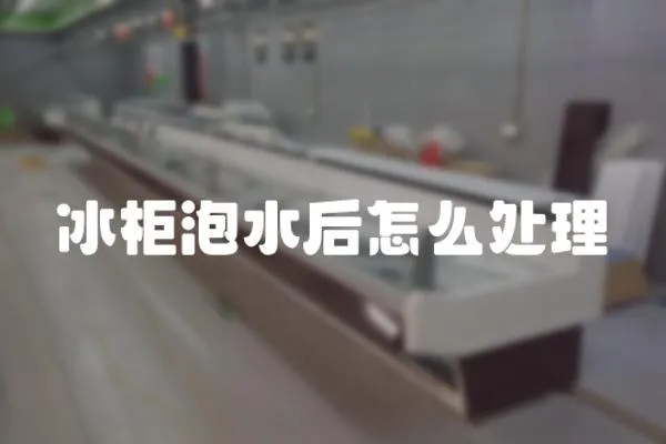 冰柜泡水后怎么處理