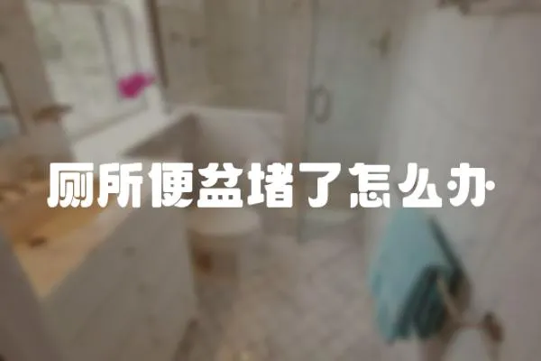 廁所便盆堵了怎么辦