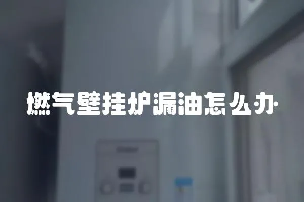 燃氣壁掛爐漏油怎么辦