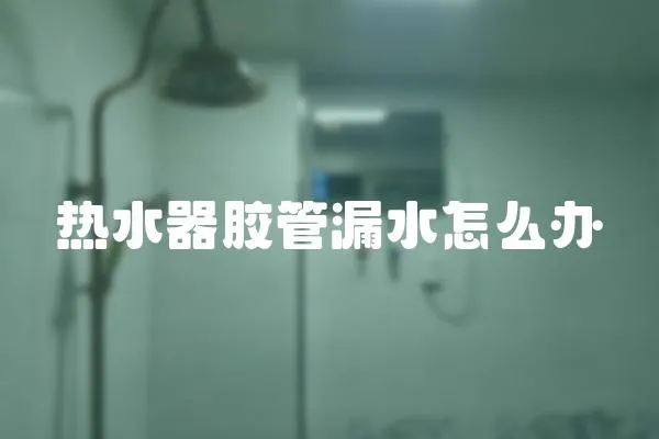 热水器胶管漏水怎么办