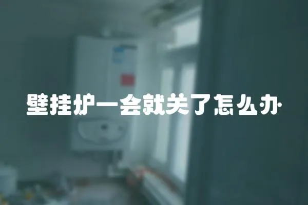 壁掛爐一會就關(guān)了怎么辦