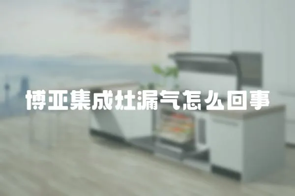 博亞集成灶漏氣怎么回事