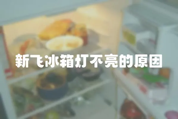 新飛冰箱燈不亮的原因