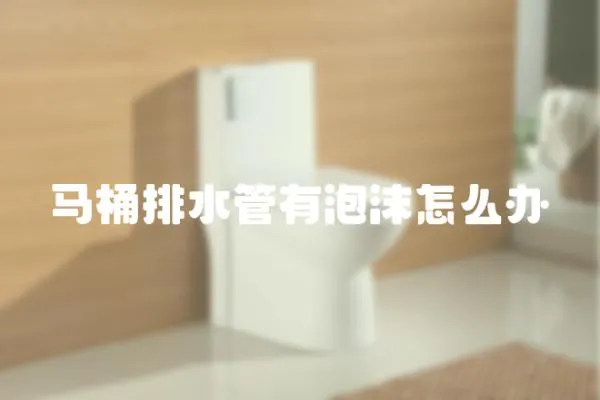 馬桶排水管有泡沫怎么辦
