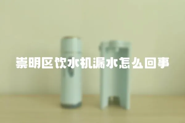 崇明區飲水機漏水怎么回事