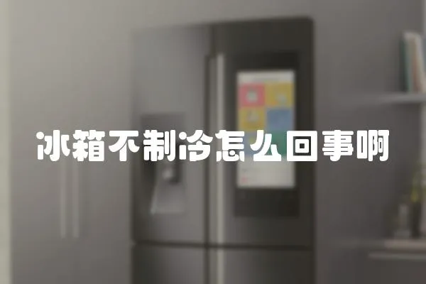 冰箱不制冷怎么回事啊