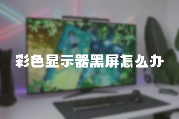 彩色顯示器黑屏怎么辦