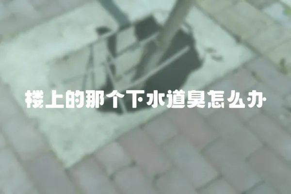 樓上的那個下水道臭怎么辦