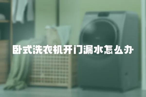 臥式洗衣機開門漏水怎么辦