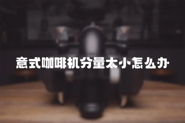 意式咖啡機分量太小怎么辦