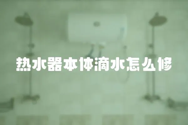 熱水器本體滴水怎么修