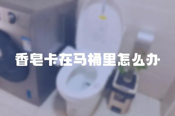 香皂卡在馬桶里怎么辦
