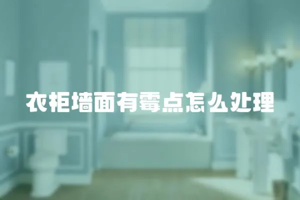 衣柜墻面有霉點怎么處理
