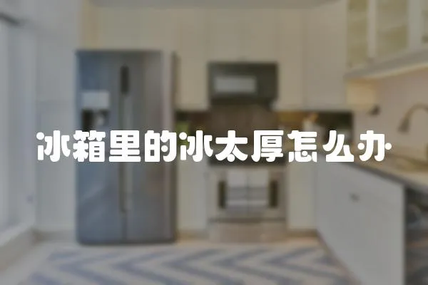 冰箱里的冰太厚怎么辦