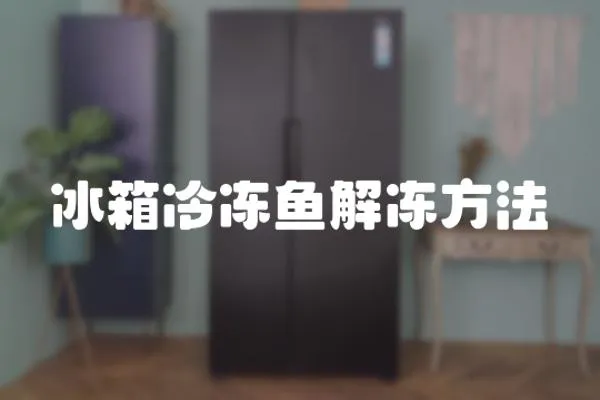 冰箱冷凍魚解凍方法