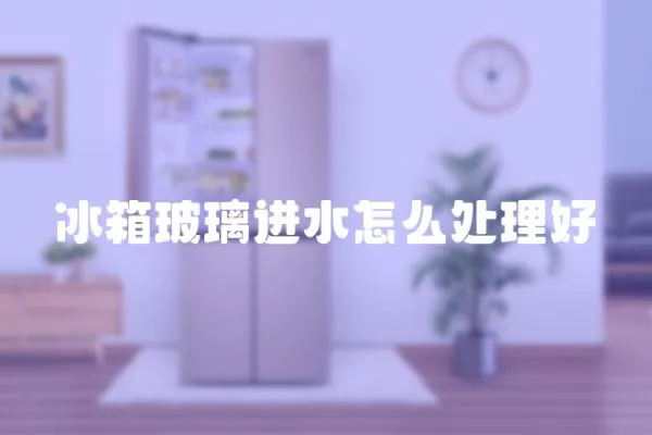 冰箱玻璃進水怎么處理好