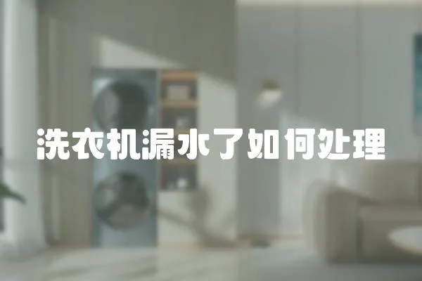 洗衣機(jī)漏水了如何處理