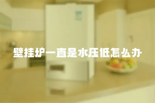 壁掛爐一直是水壓低怎么辦