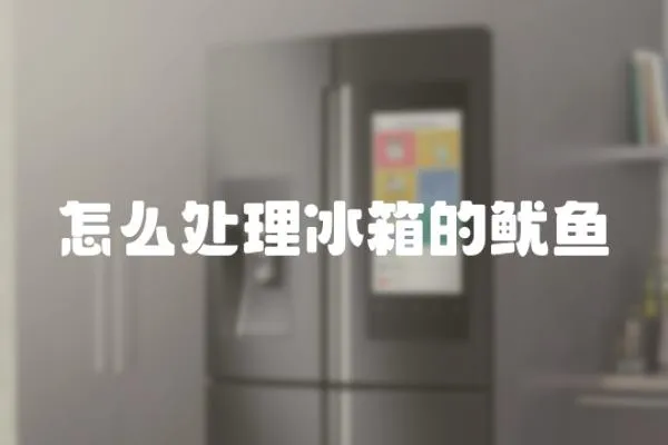 怎么處理冰箱的魷魚