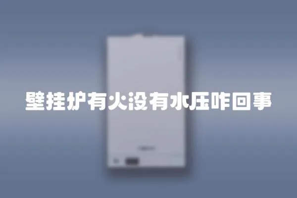 壁掛爐有火沒有水壓咋回事