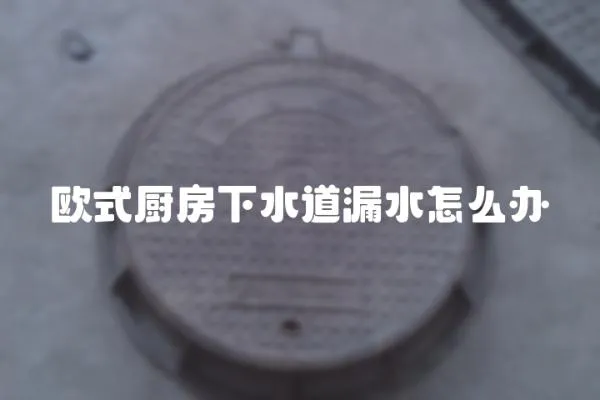 歐式廚房下水道漏水怎么辦
