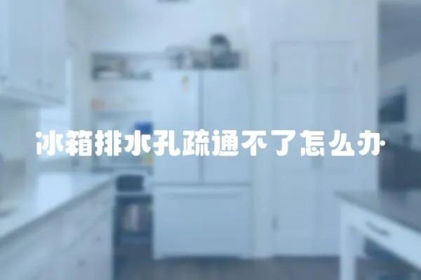 冰箱排水孔疏通不了怎么辦
