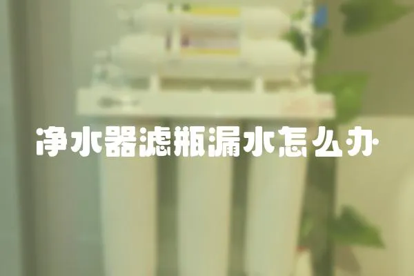 凈水器濾瓶漏水怎么辦