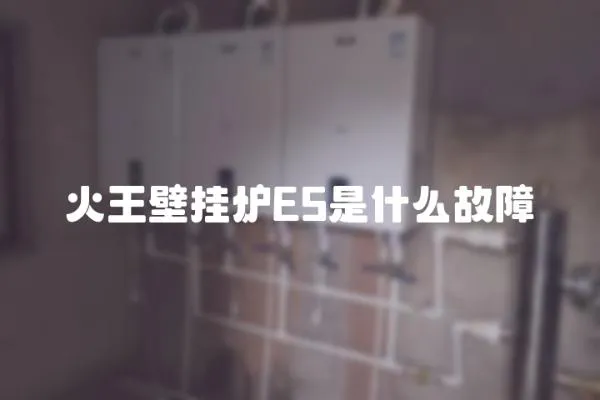 火王壁掛爐E5是什么故障