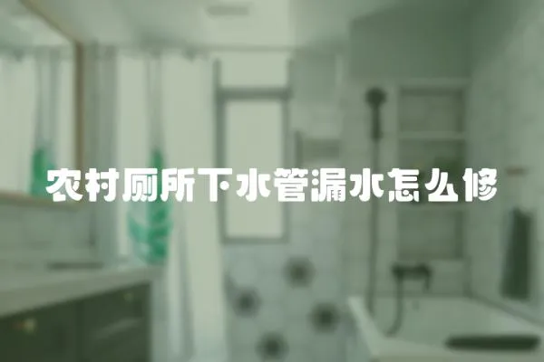 農村廁所下水管漏水怎么修