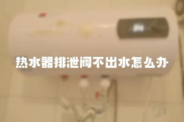 熱水器排泄閥不出水怎么辦
