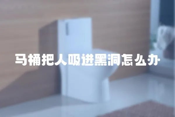 馬桶把人吸進黑洞怎么辦