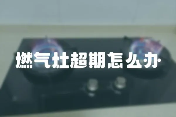 燃?xì)庠畛谠趺崔k