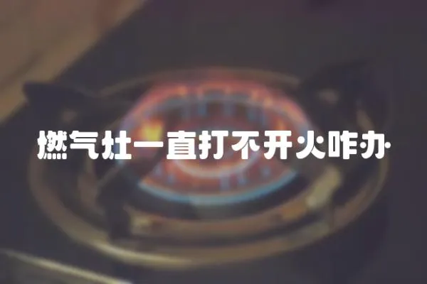 燃氣灶一直打不開火咋辦