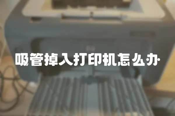 吸管掉入打印機怎么辦