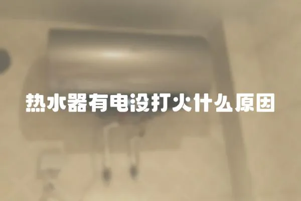 熱水器有電沒打火什么原因