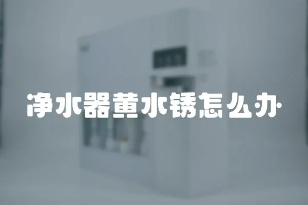 凈水器黃水銹怎么辦