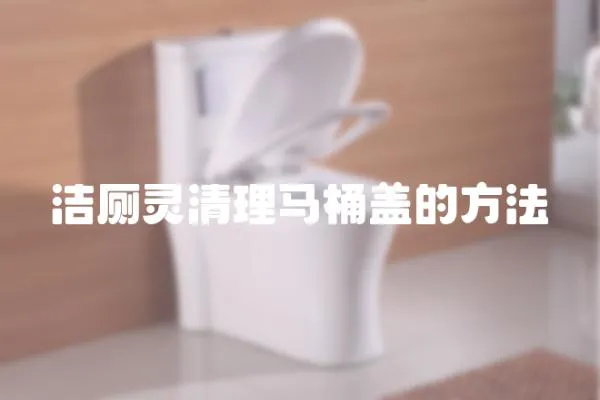 潔廁靈清理馬桶蓋的方法