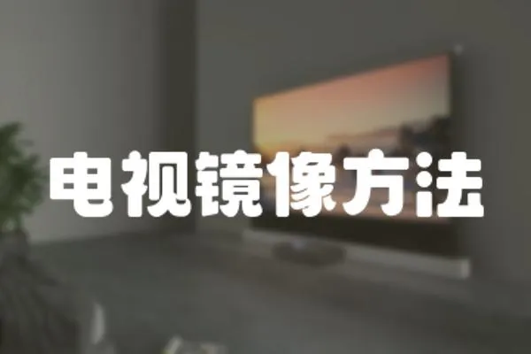 電視鏡像方法