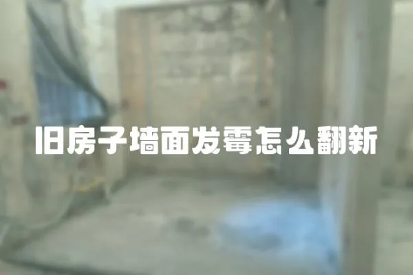 舊房子墻面發霉怎么翻新