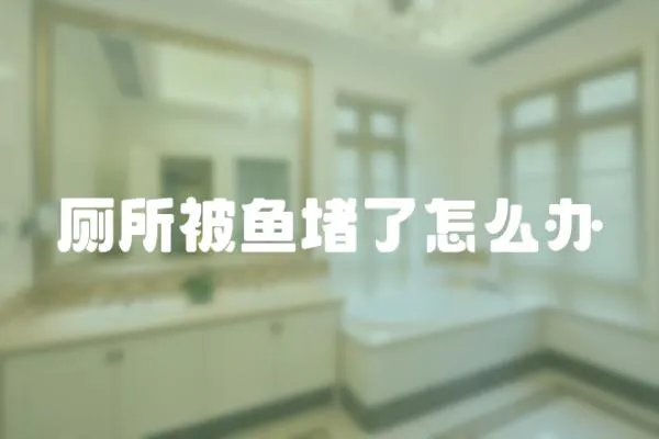 廁所被魚堵了怎么辦