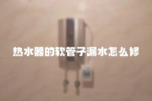 熱水器的軟管子漏水怎么修
